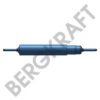 RENAULT 23512048 Shock Absorber